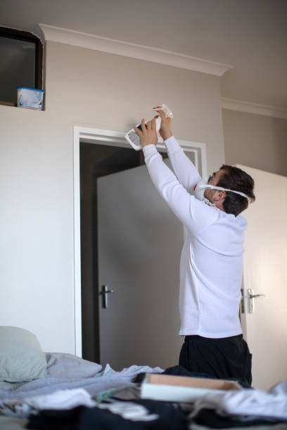 Environmental Consulting for Mold Prevention in Woodmont, CT